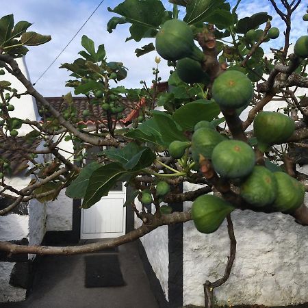 Rosa Do Canto Monte  ภายนอก รูปภาพ