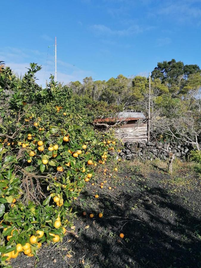 Rosa Do Canto Monte  ภายนอก รูปภาพ