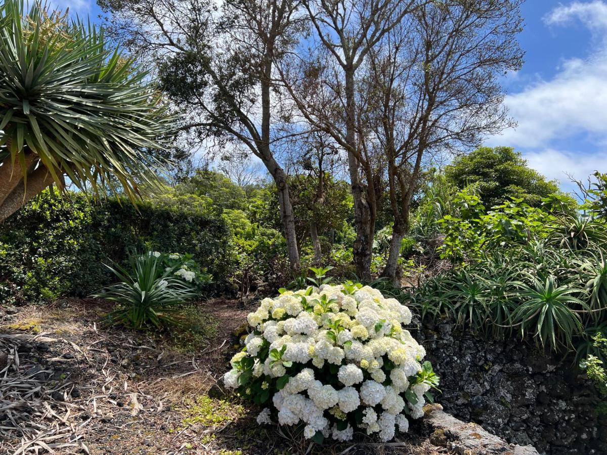 Rosa Do Canto Monte  ภายนอก รูปภาพ