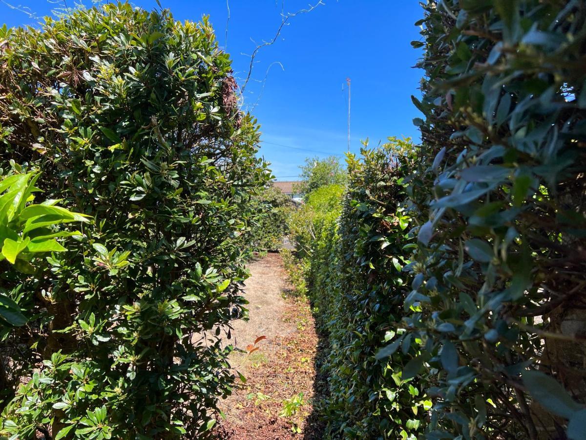 Rosa Do Canto Monte  ภายนอก รูปภาพ